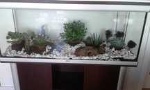 Aquário/ Terrario 260L com móvel – Aquatlantis