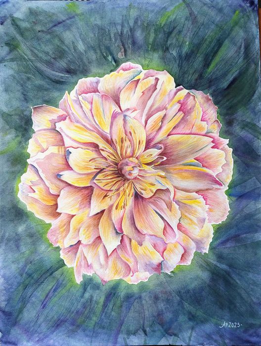 Obraz autorski "Piwonia" akwarela na papierze 45x60 cm