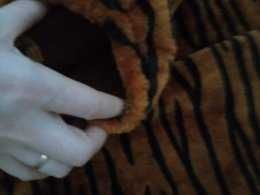 Тигр тигрица кошка костюм платье тигра тигрицы кошки кошечки