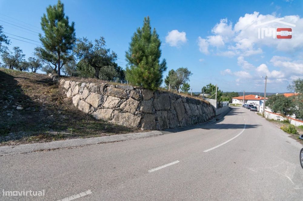 Terreno De Cultura Com Oliveiras Em Sobral Da Granja