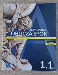 Język polski: Oblicza Epok 1.1