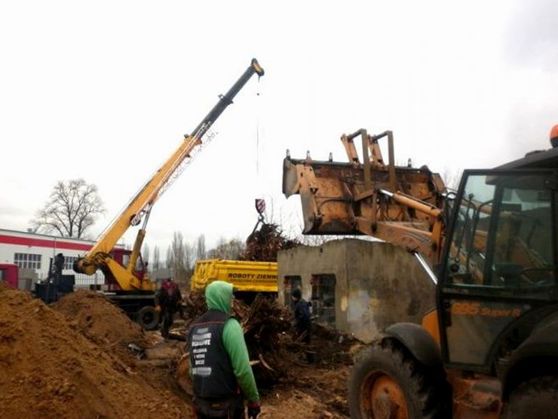 Frezowanie Pni i Usuwanie Korzeni Stargard i Okolice - Szybko