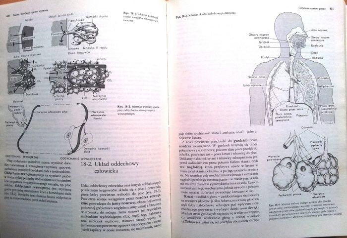 Biologia - Claude A. Villee