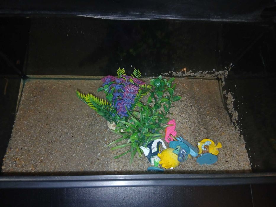 Aquário com móvel e acessórios