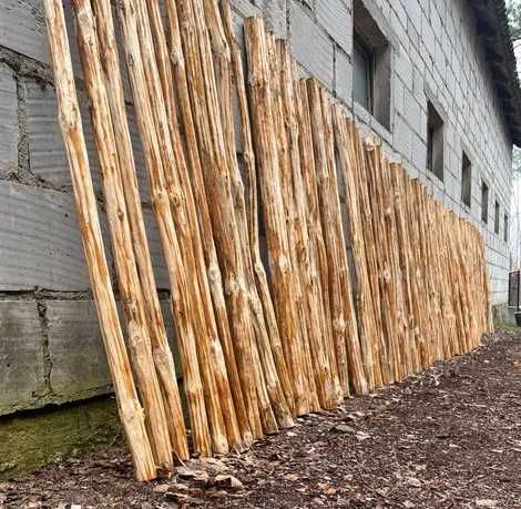 Kolki sosnowe 100/150/300 cm, 5/10/18 zł. Idealne do ogrodzeń, ozdób