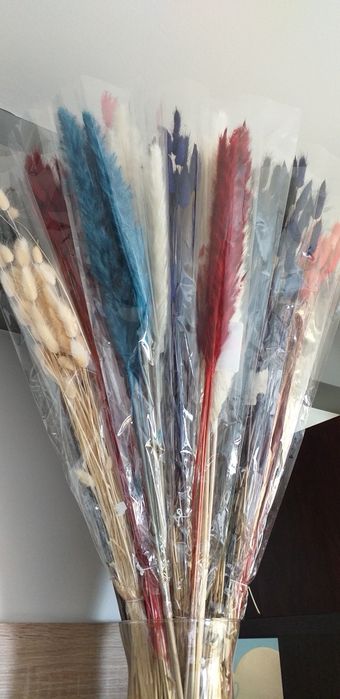 Kolorowe trawy dekoracyjne