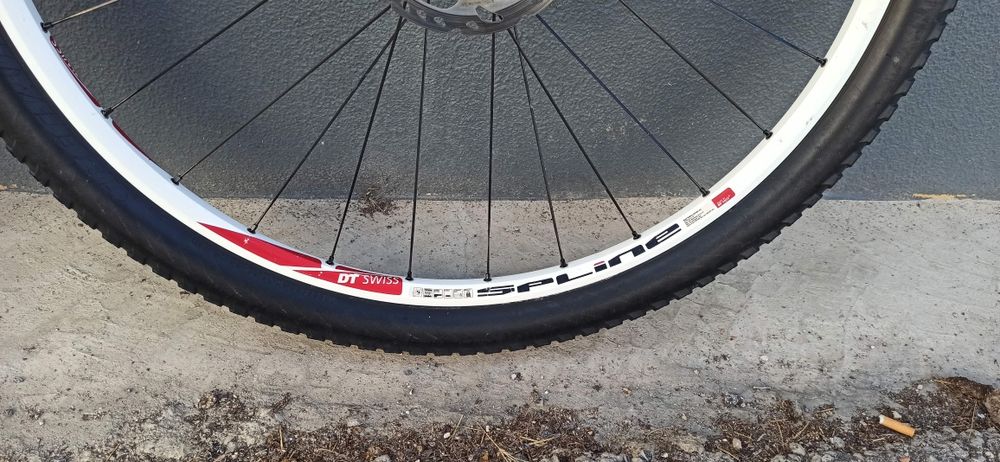 Rodas DT Swiss Spline 29''