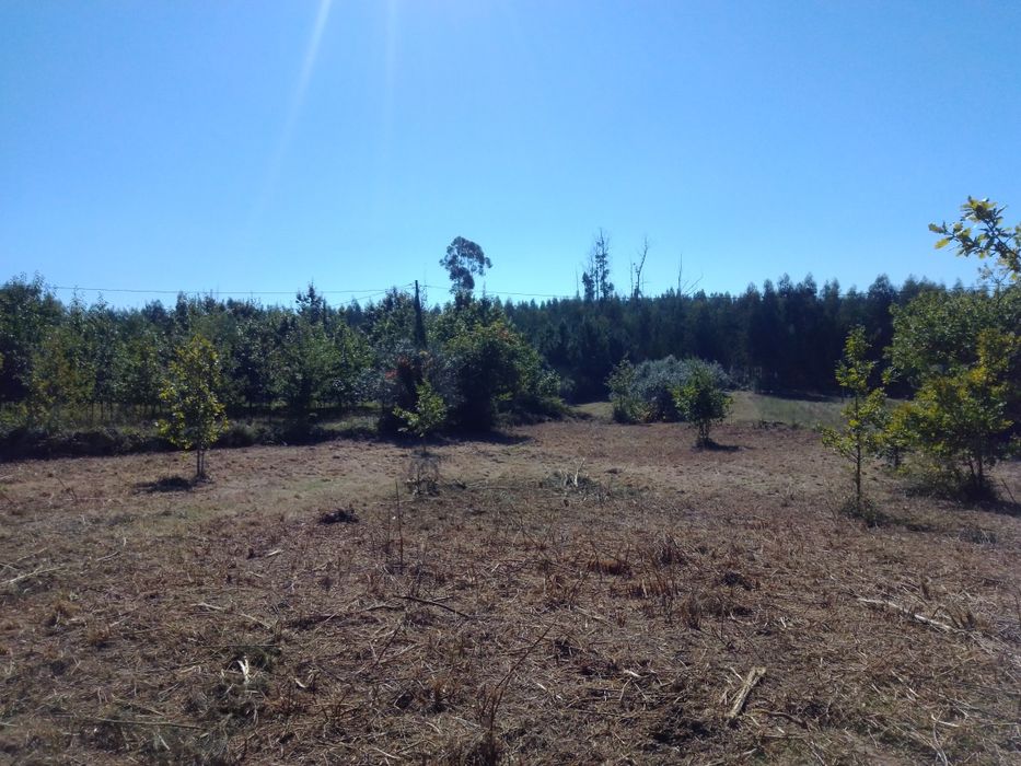 Quinta com casa para reconstrução