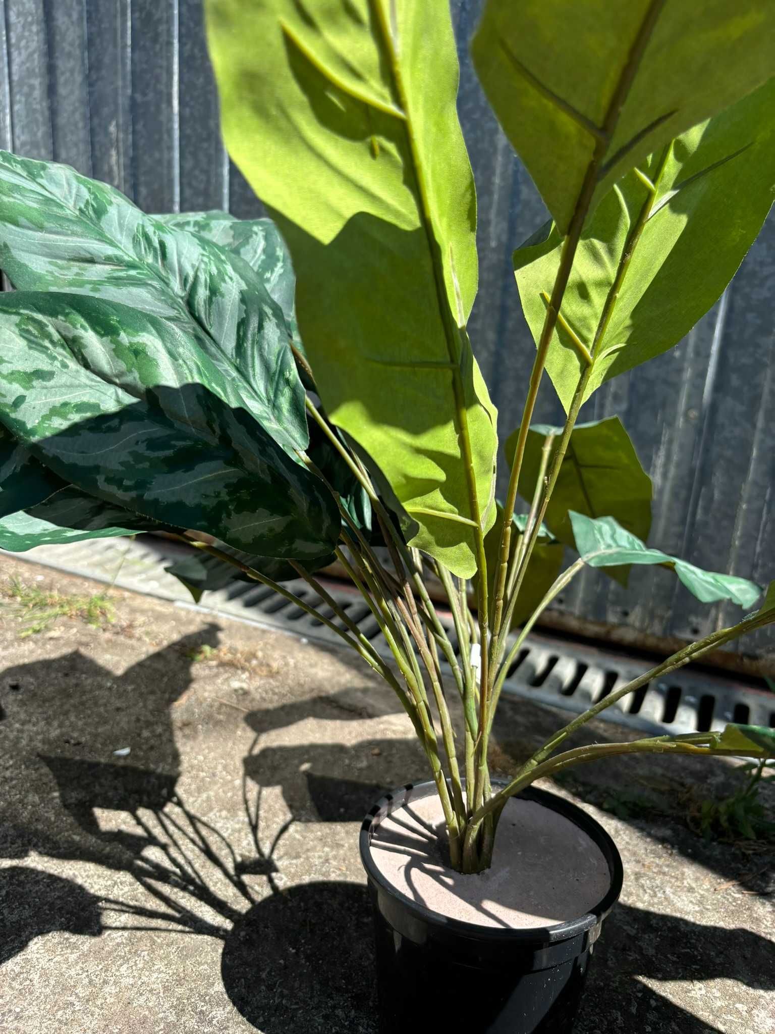 Planta de decoração para sua casa