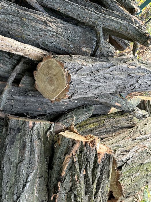 Дрова,отличного качества,дуб,акация