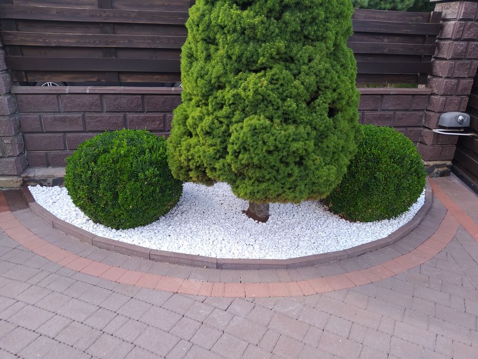 Стрижка рослин, посів газону, обрізка дерев