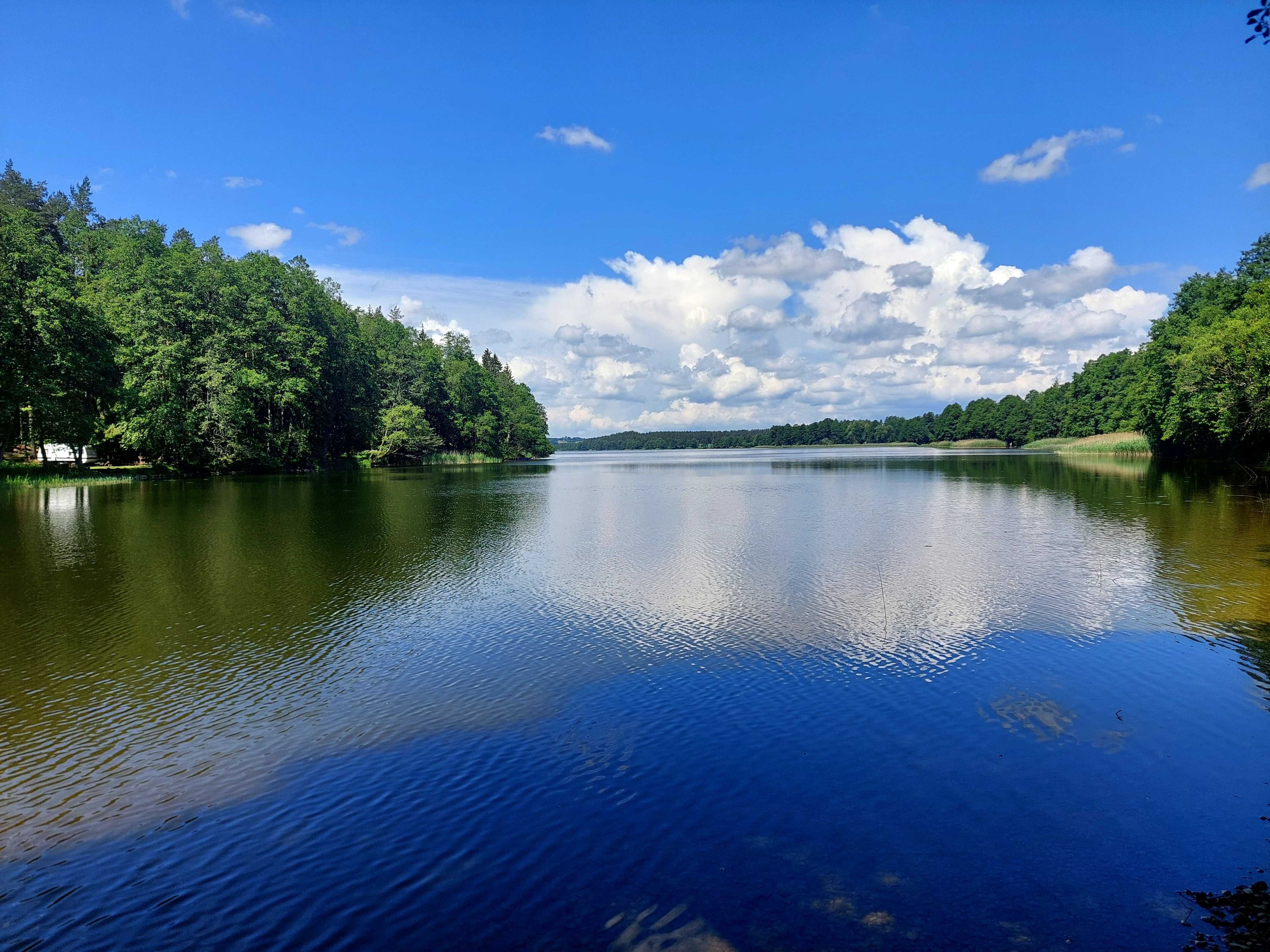Domek do wynajęcia dolina rospudy