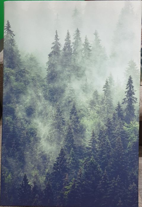 3 obrazy na płótnie TRYPTYK 90x60