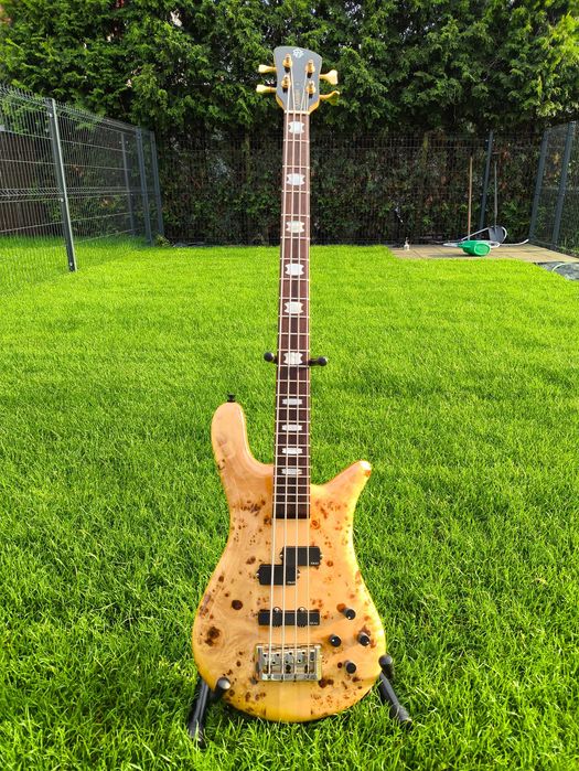 Spector Euro LX4 – Custom Poplar Burl Gloss (2006)