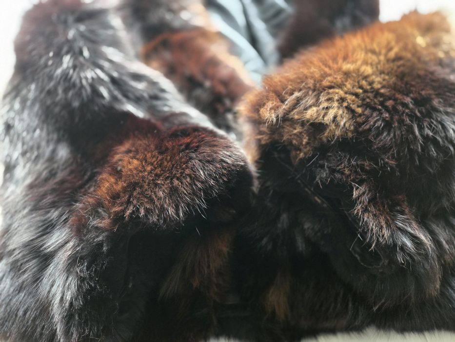 Używane futro z lisa czarne naturalne futro