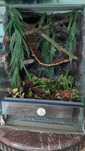 Terrarium 40x40x60 pełne wyposażenie gekon orzęsiony