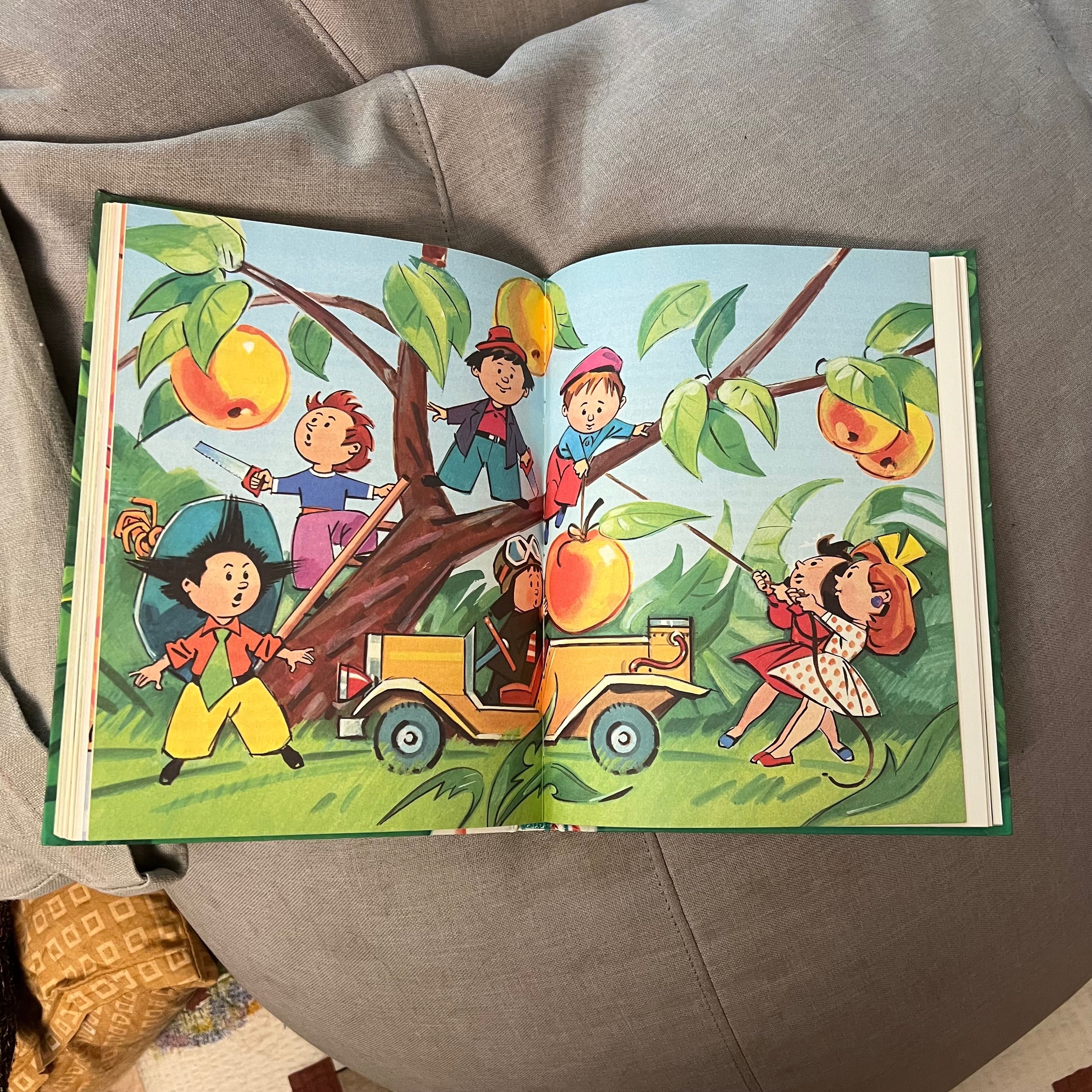 Книга на русском приключения Незнайки