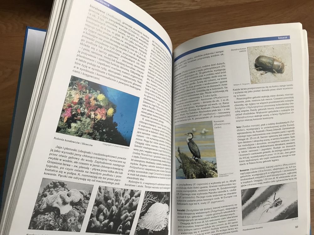 Encyklopedia Audiowizualna Britannica (4 książki + 4 płyty CD)
