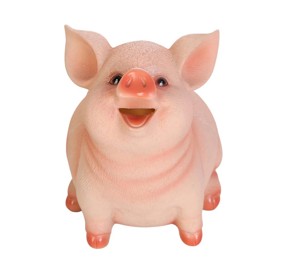 Skarbonka moneta świnka