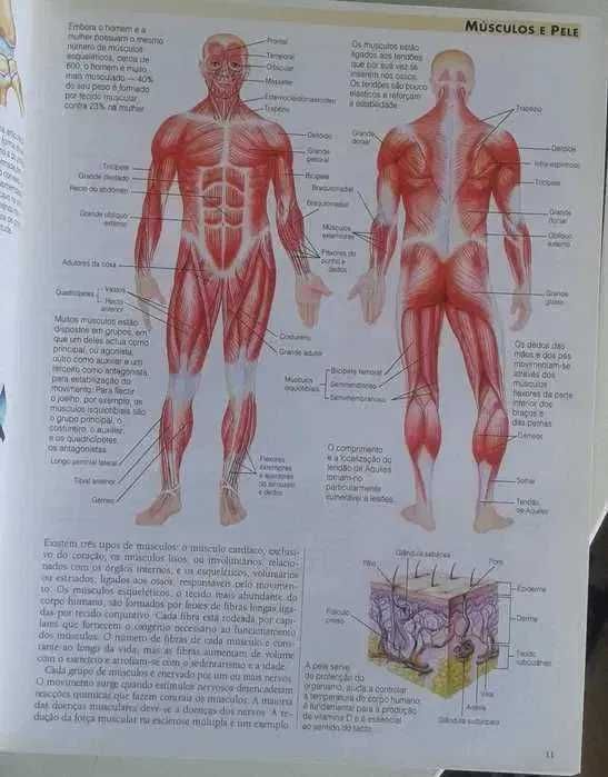 Livro Tratamentos Médicos e Alternativos