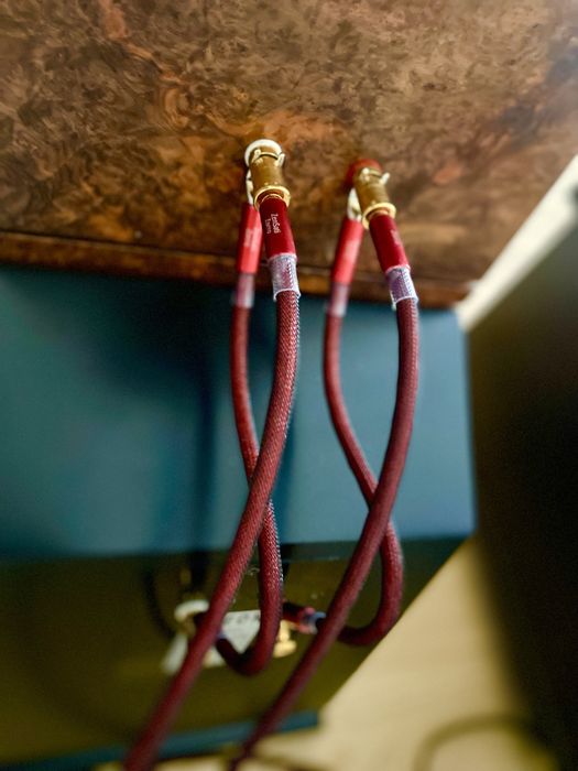 Odeon 28 fornir lakier