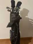 Saco + set de ferros completo de golf verdict