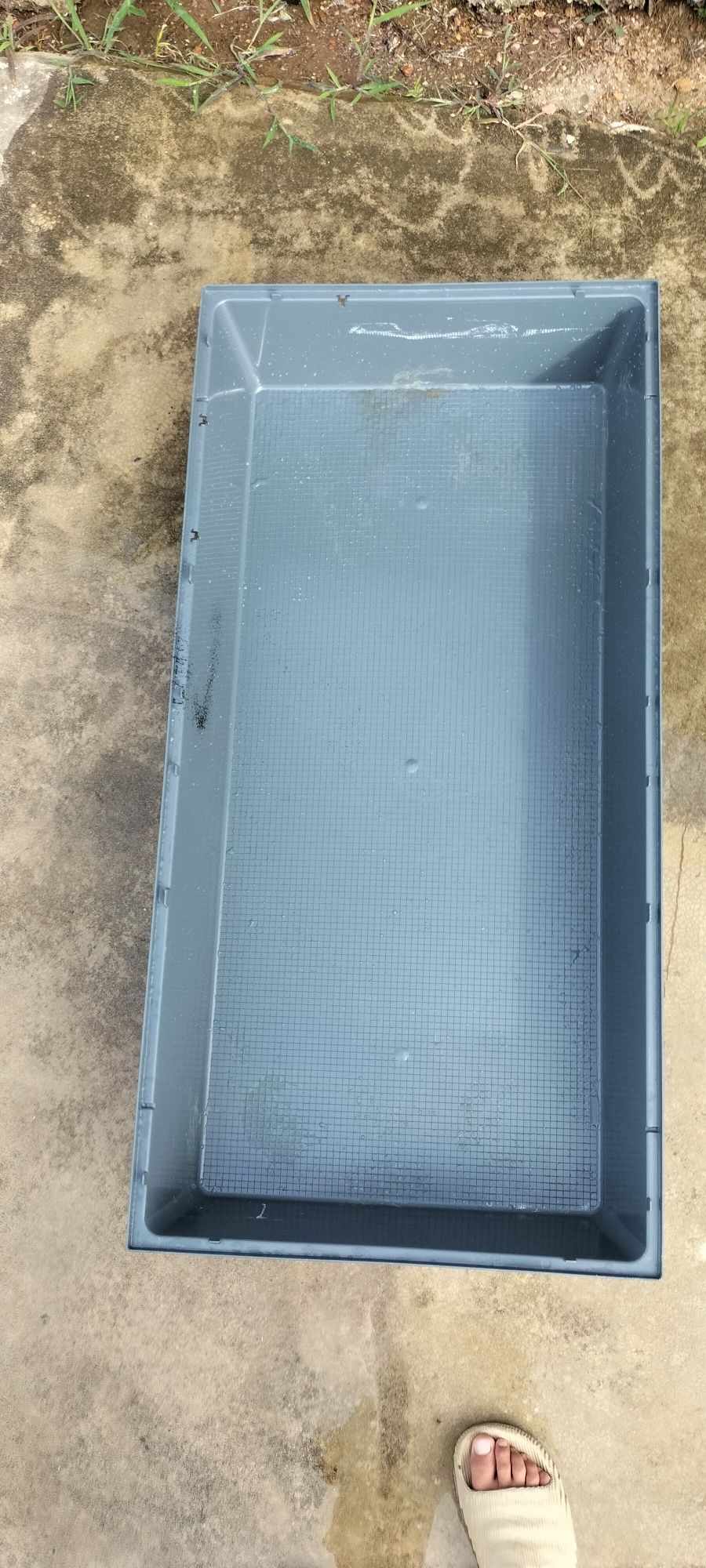 Gaiola para coelho