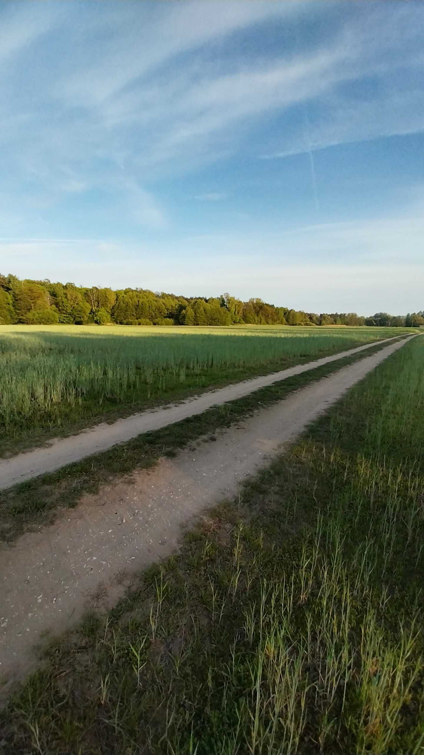 Działka nad rzeką Wartą w dolinie