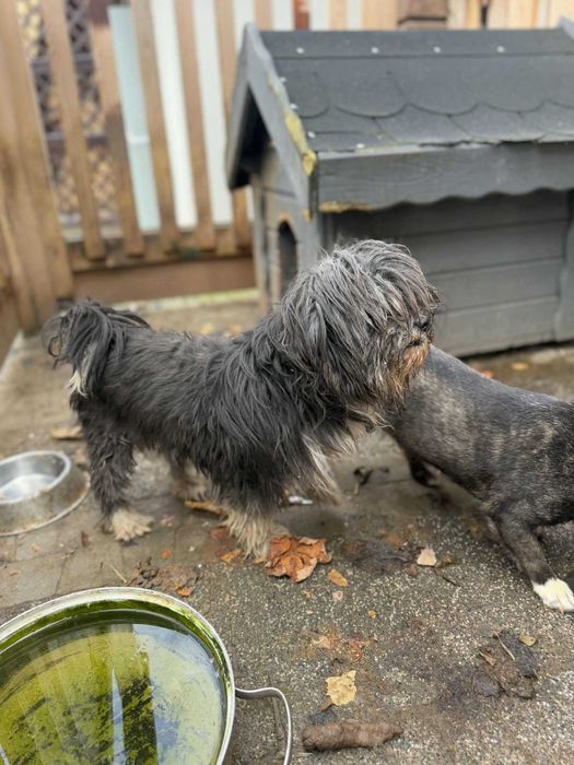 Pilne!!Blagam wyrwijmy z bud mamę i córkę z rąk psychicznego  Tarnów