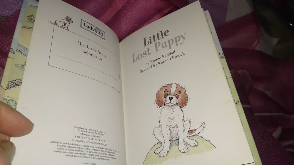 школьная книга на английском языке про щенка little lost puppy