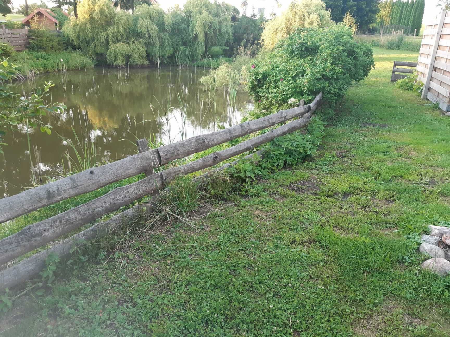 Domek  do wynajęcia Mazury