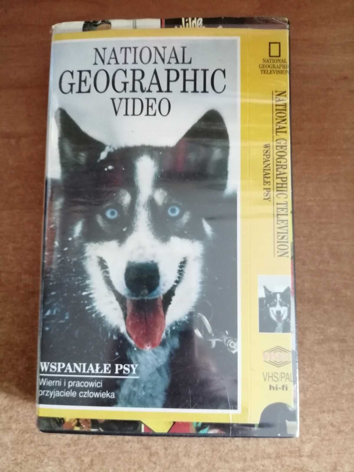 Wspaniałe psy – National Geographic Video