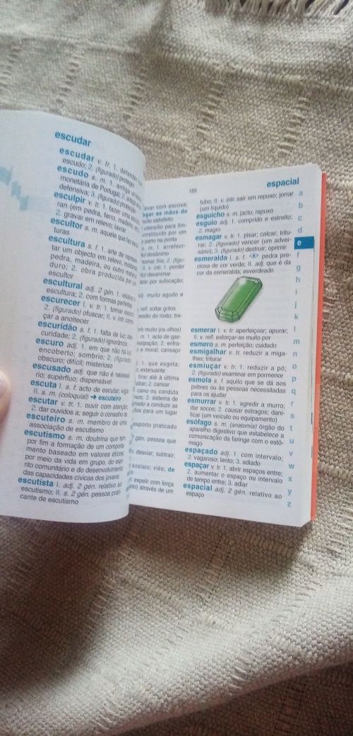 Dicionário básico ilustrado
