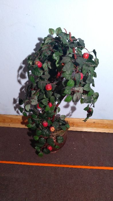 Sztuczne drzewko , jabłoń , wys. 120 cm. , cena 200 zł.
