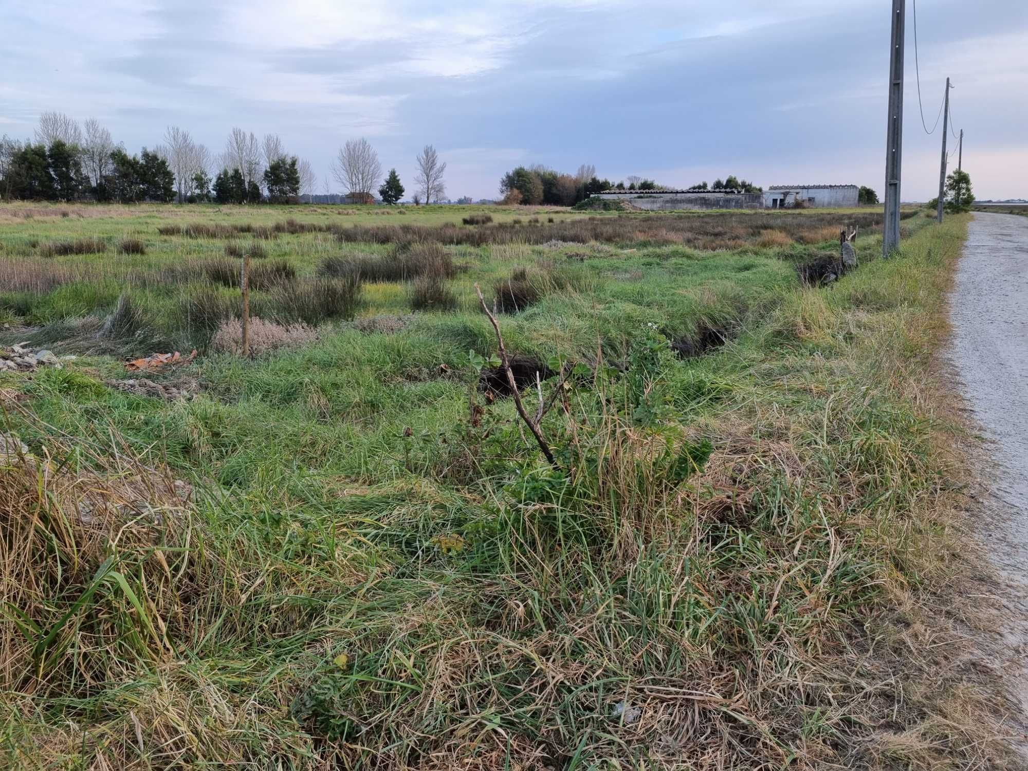 Terreno no Cais da Ribeira de Ovar