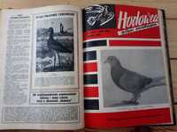Hodowca gołębi pocztowych biuletyn 1966 rocznik + dodatek