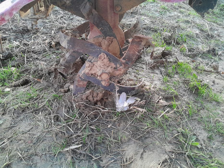 Motoenxada Morikatto SR1Z-100 – 7CV