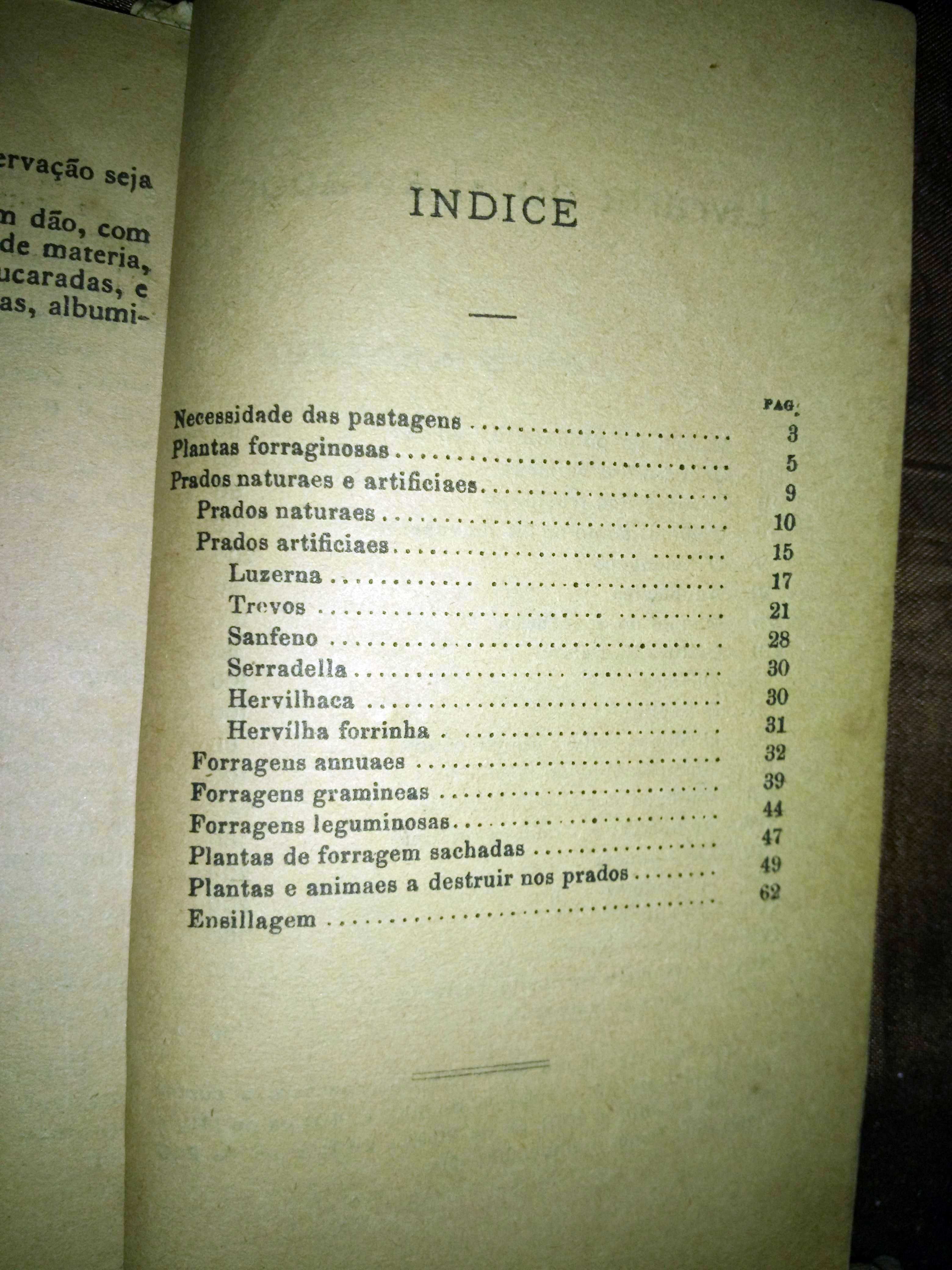 Prados e Pastagens - Livraria do Lavrador (1916)