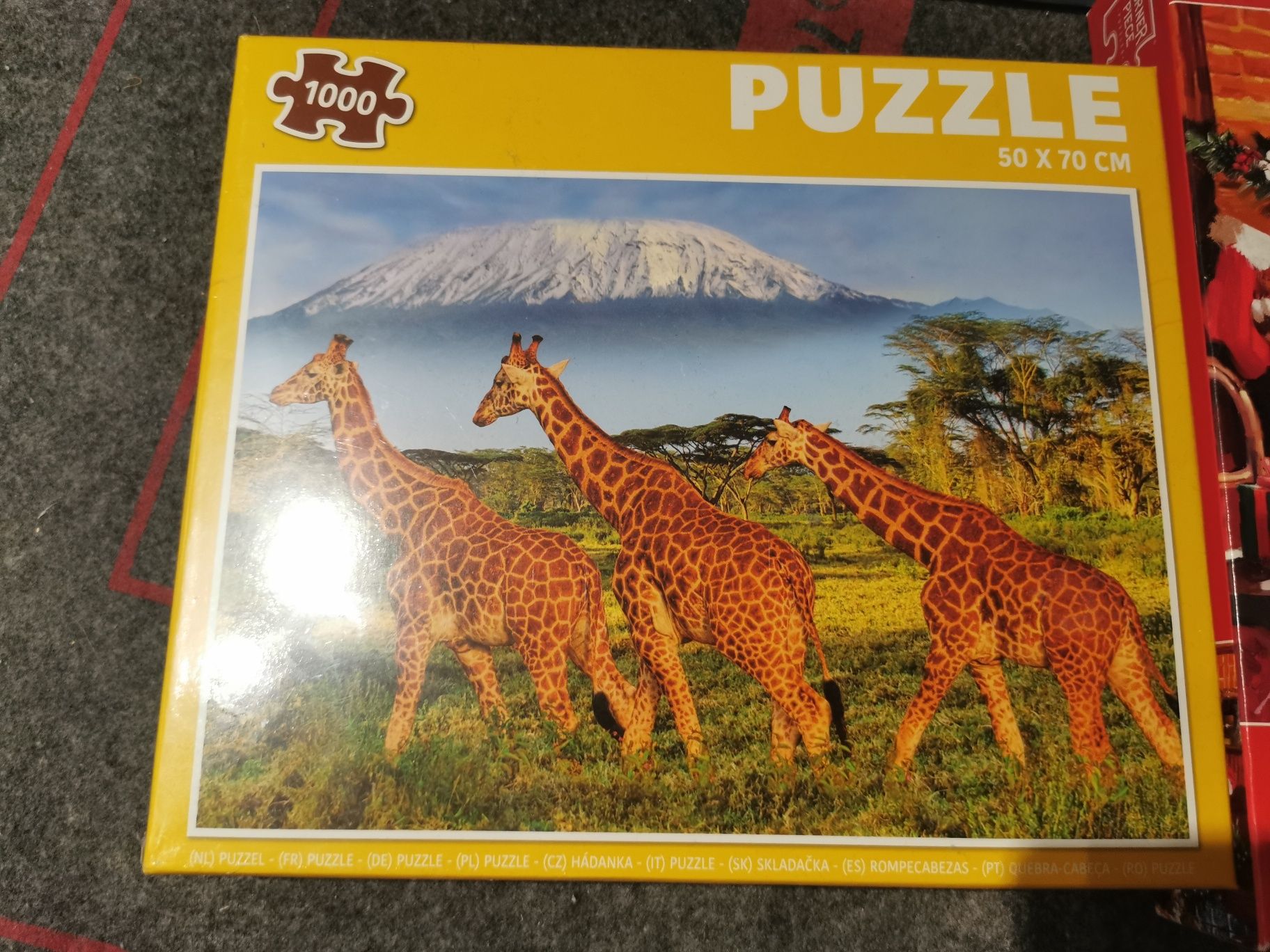 Puzzle 1000 elementów