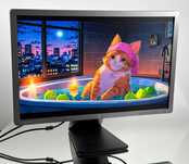 Wysoka Rozdzielczość Monitor HP EliteDisplay E241i 1920x1200 24'' IPS