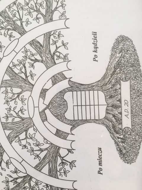 Drzewo rodowe, genealogiczne