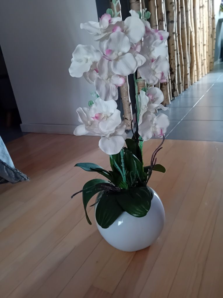 Orchidea storczyk doniczka porcelana