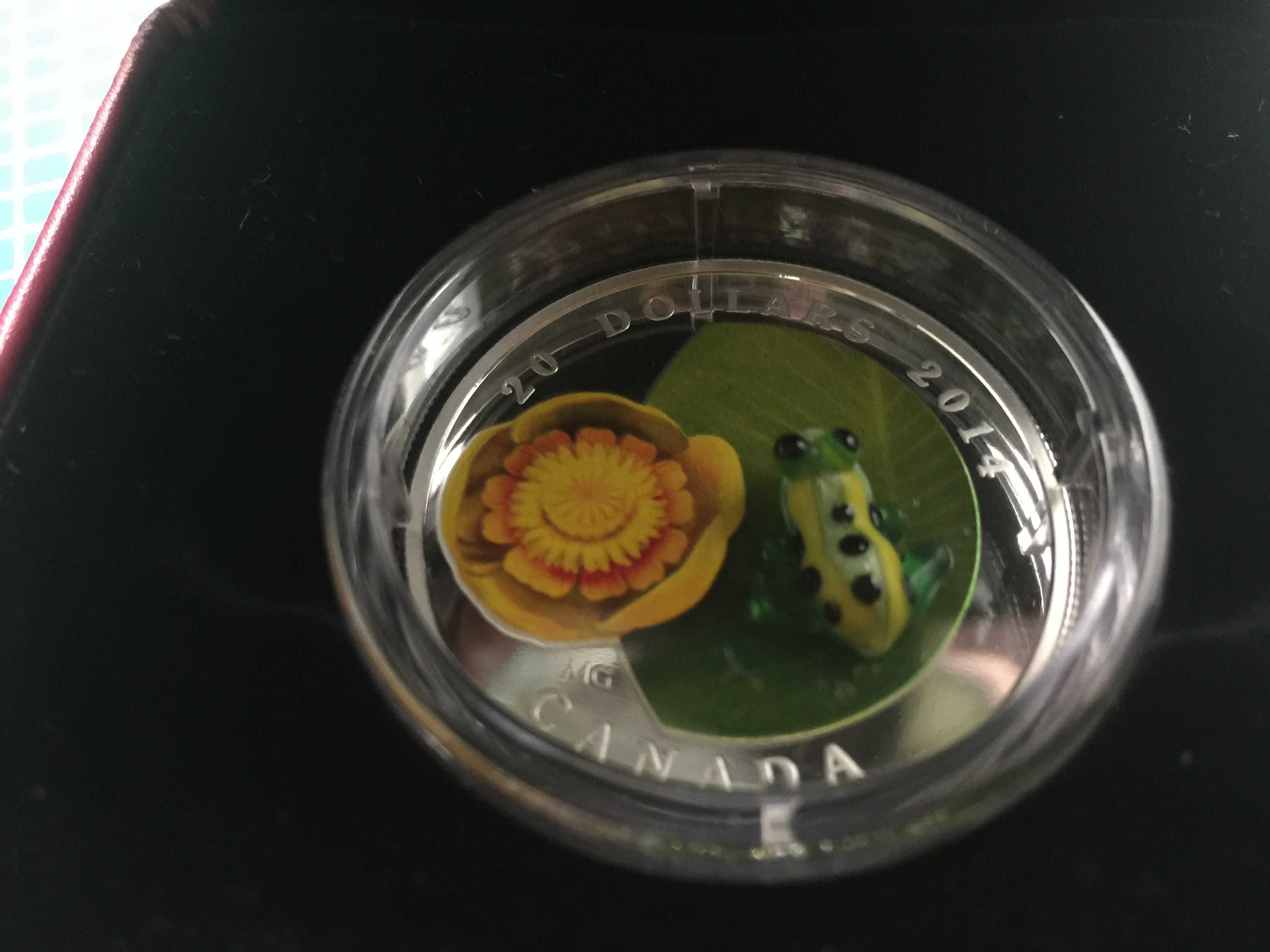 Srebrna moneta 3D Leopard Frog z serii Water-lily RARYTAS