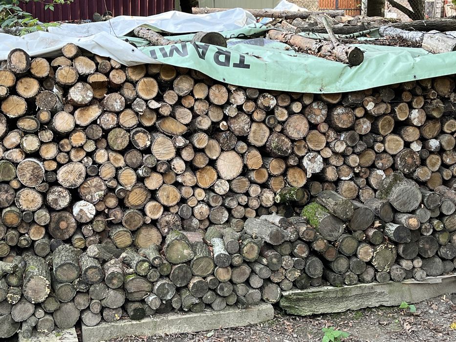 Drewno opałowe dębowe suche