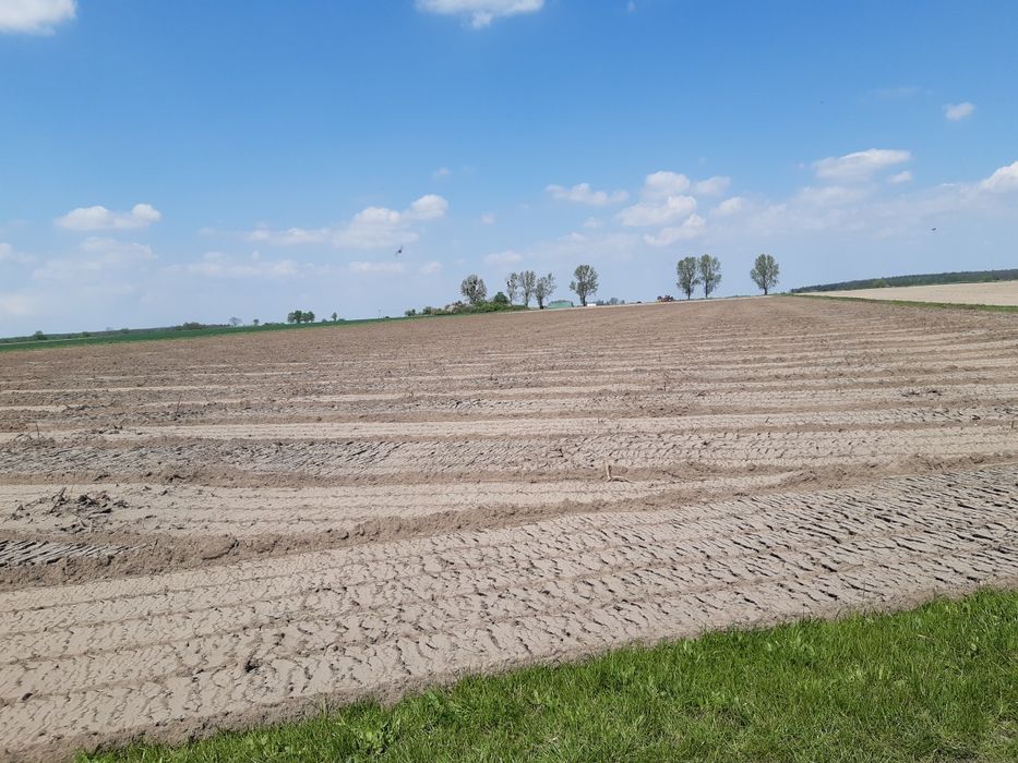 mulczer lesny mulczowanie czyszczenie dzialek usuwanie plantacji