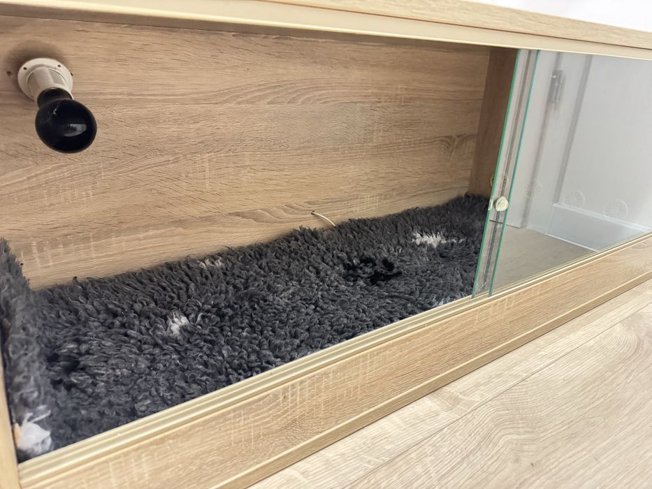 Terrarium dla jeża cała wyprawka alcesoria