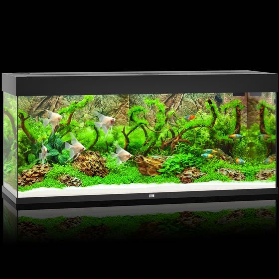 NOWE Akwarium Juwel Rio 240 LED, zestaw akwariowy
