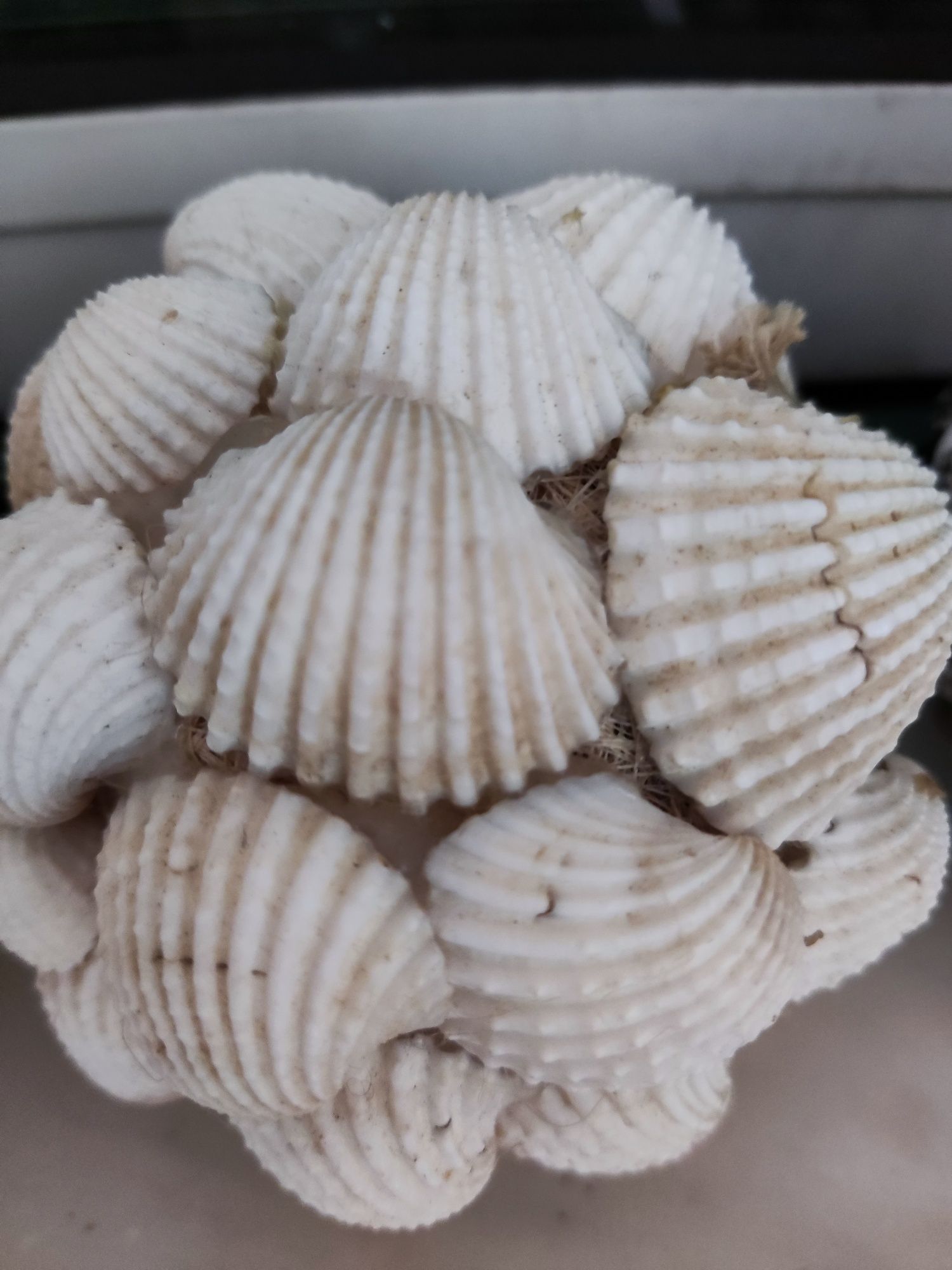 Bolas decorativas feitas de conchas