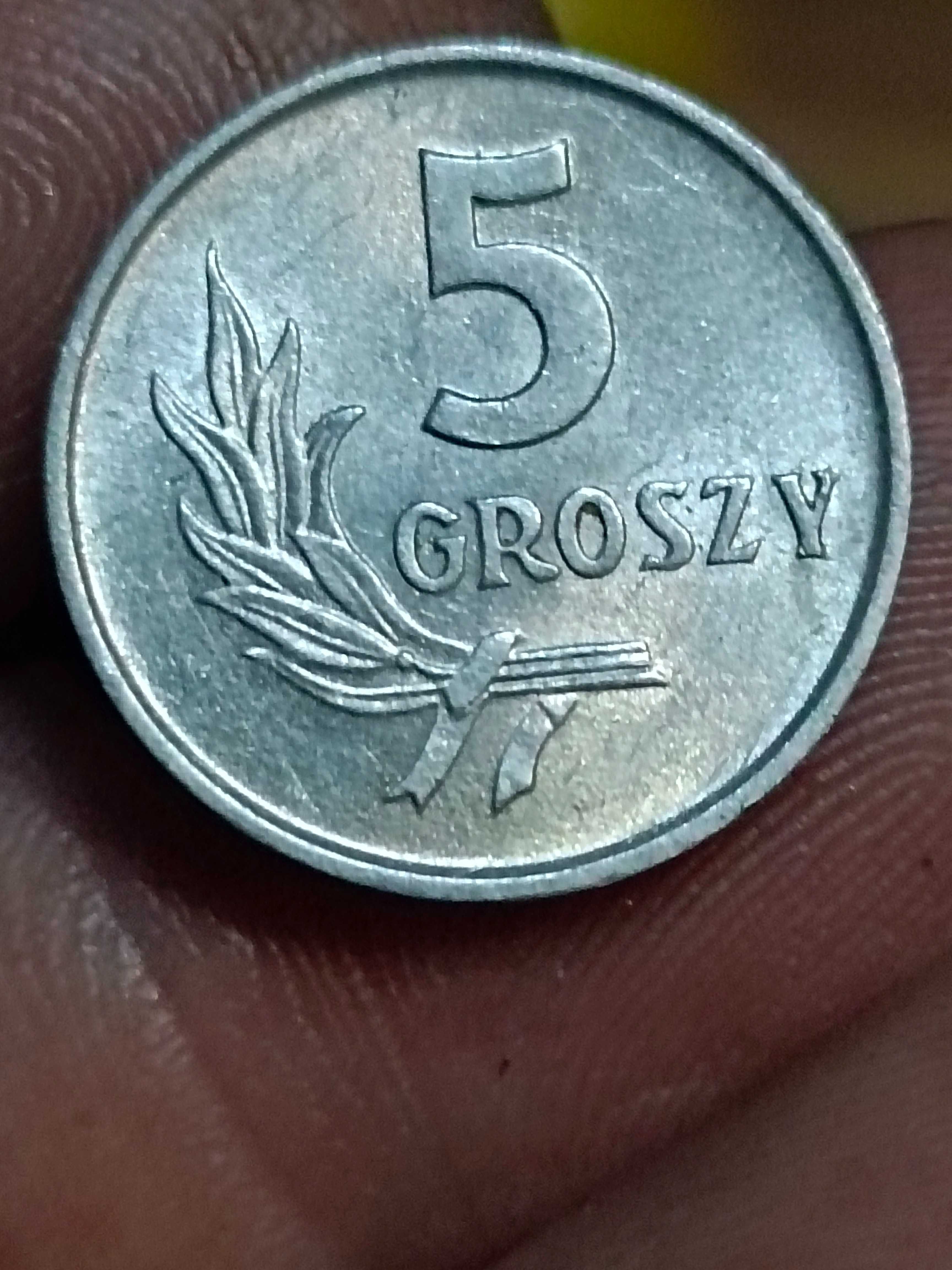 Sprzedam monete 5 groszy 1962 bez znaku mennicy