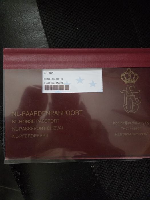 Fryz klacz Księga Główna